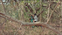 Yeh Hai Chahatein - 26th May 2024